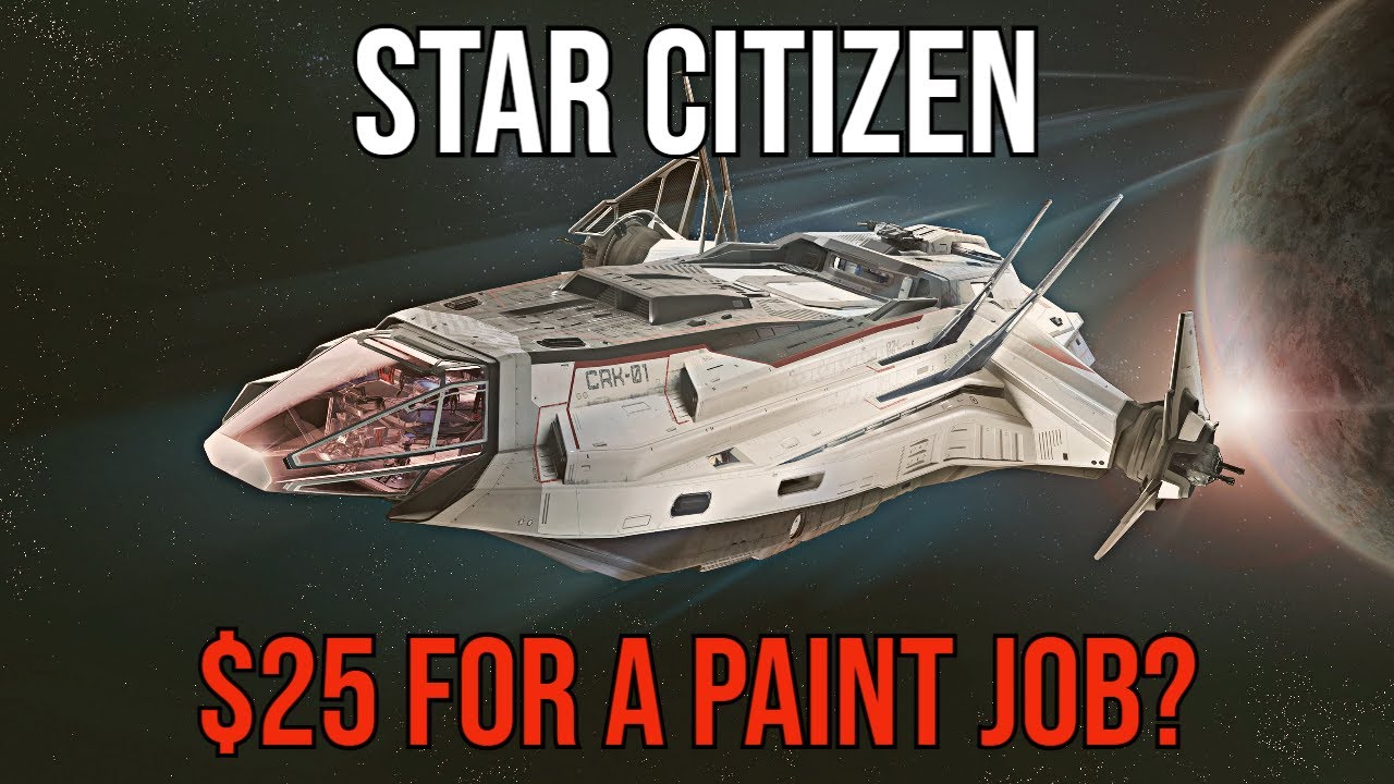 Star Citizen 3.8.2 | DID YOUR PROGRESS PERSIST? WOULD YOU PAY $25 FOR A PAINT JOB?