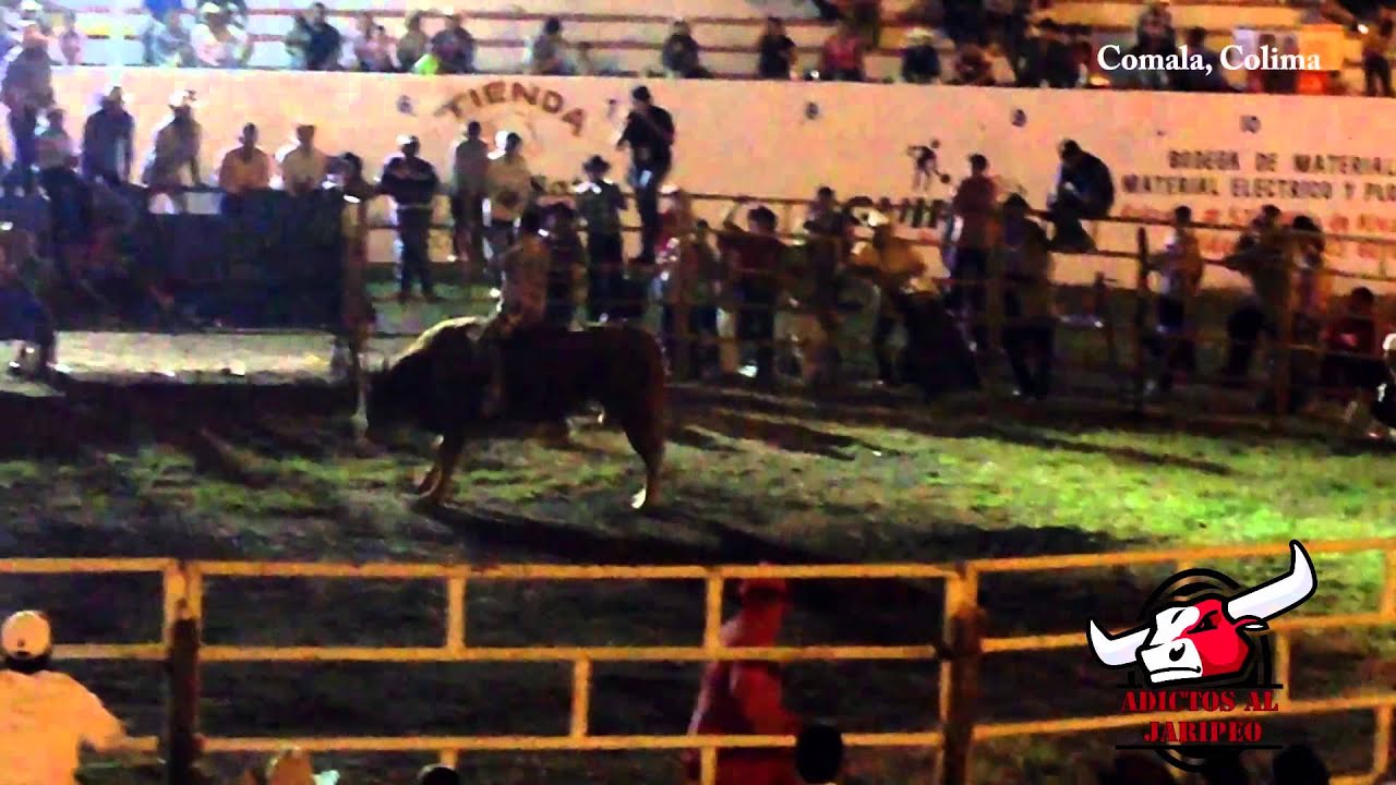 &iexcl; MONTON&Oacute;N ! El Guerrero Rojo de Rancho San Miguel vs Cuate del Grullo en Comala Colima 2013