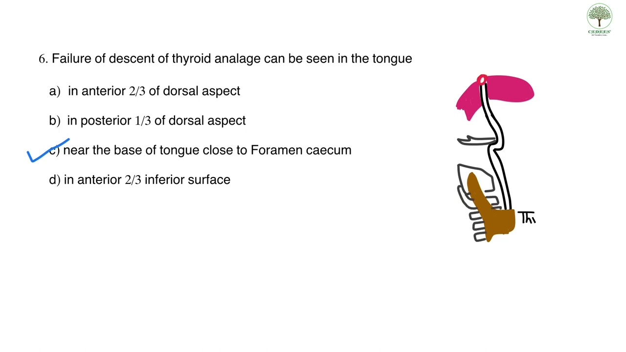 Oral Pathology Doubts - III, Explainer videos