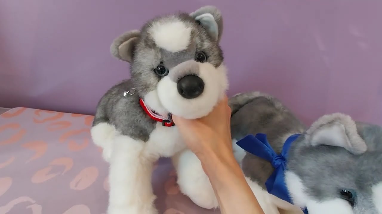 Unboxing A Pink Tag Sasha Husky Plush Dog by Douglas Cuddle Toys 🩶🤍