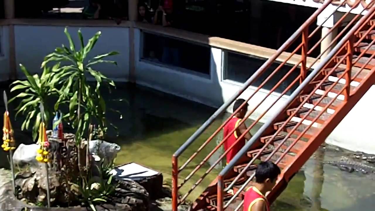 The world's largest crocodile farm Samutprakarn Thailand