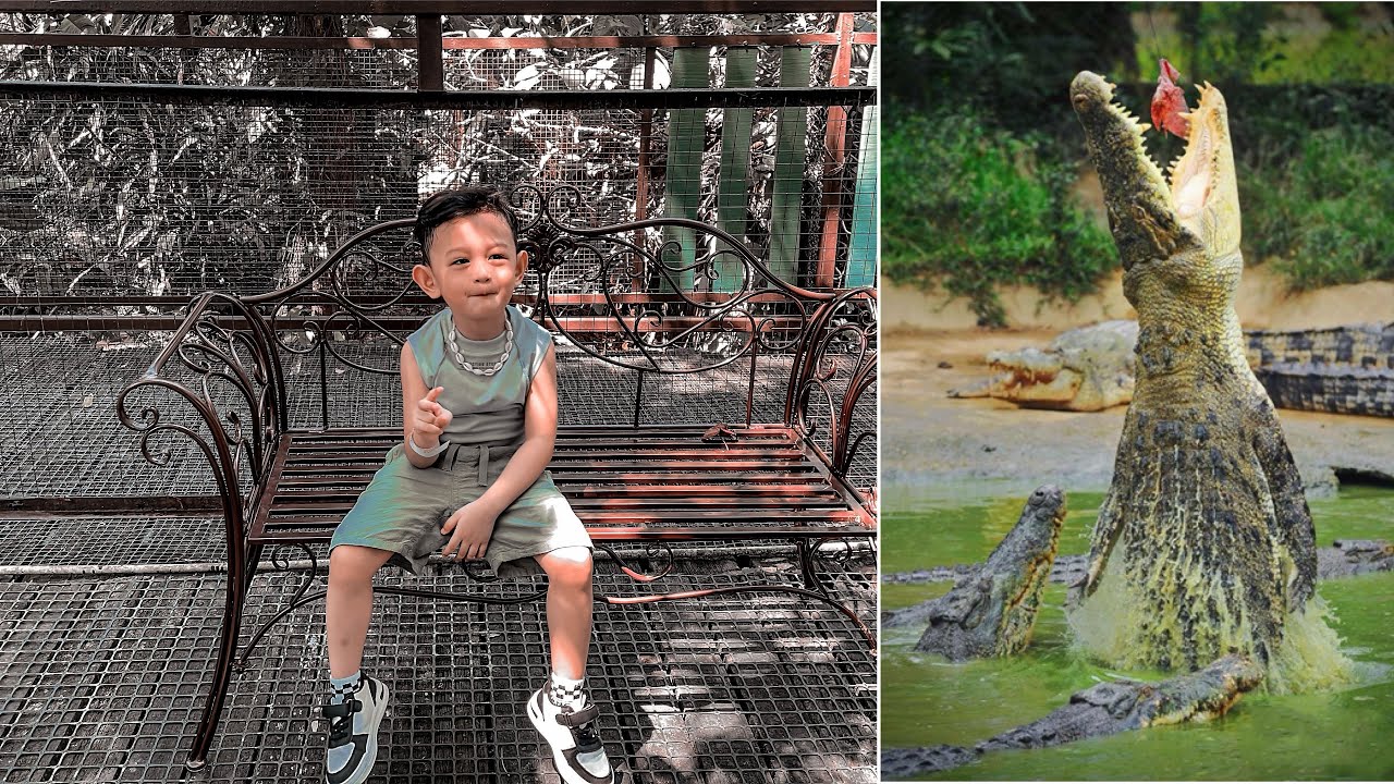 2nd time Ayell Go To Jong Farm Crocodiles 🐊