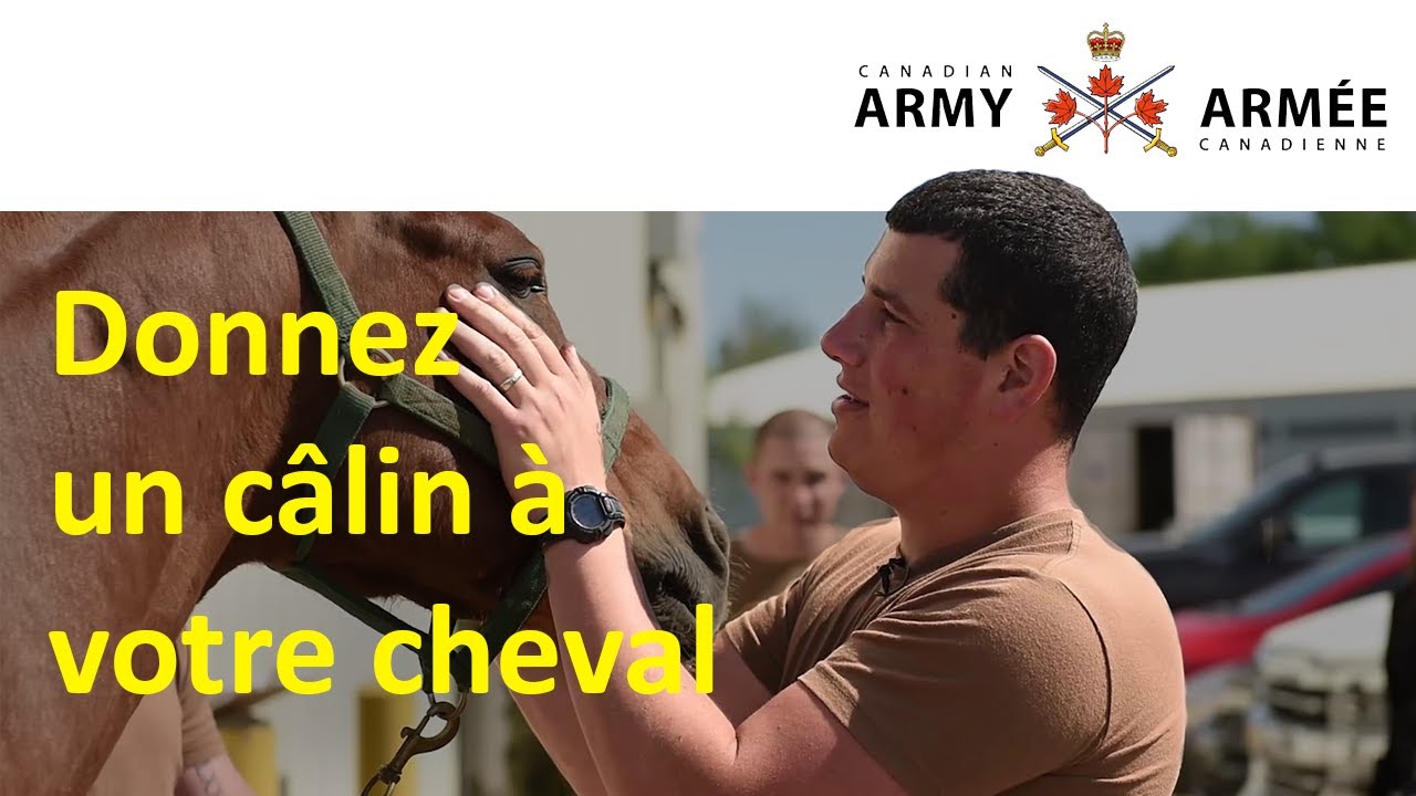 Donnez un câlin à votre cheval