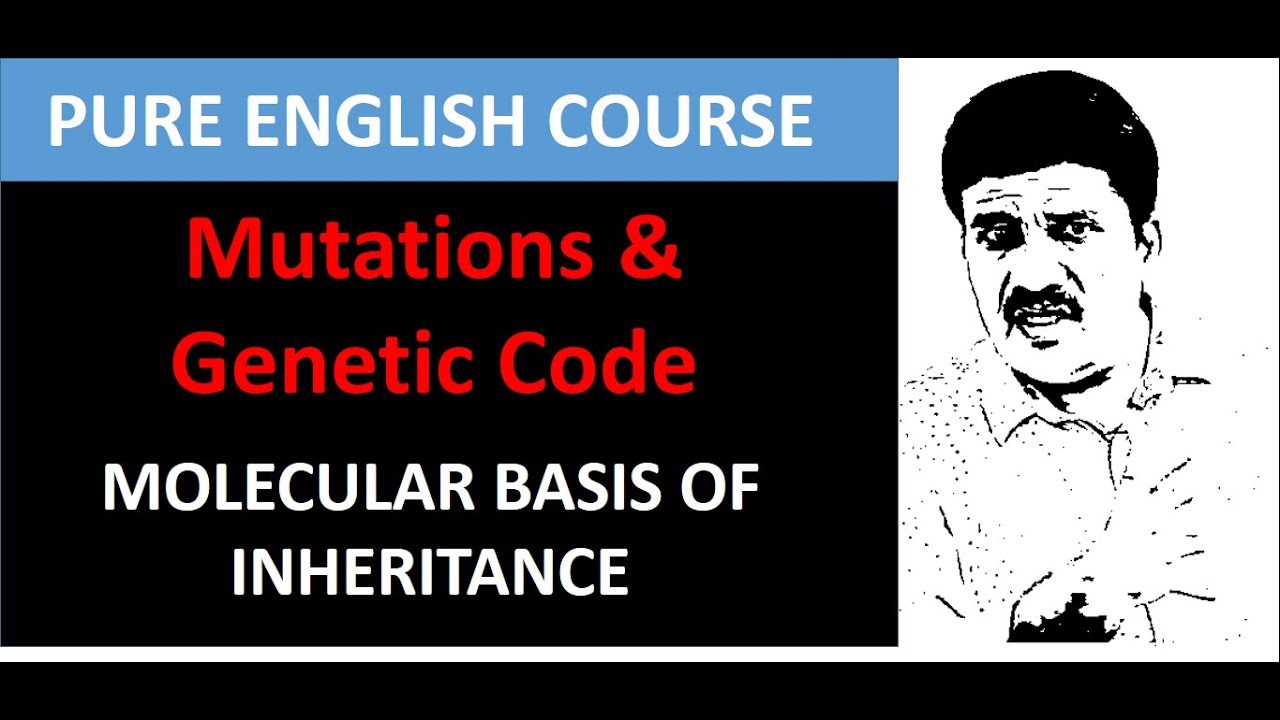 Mutations & Genetic Code - Molecular Basis of Inheritance - Class 12 Biology NEET 2020 NEET 2021