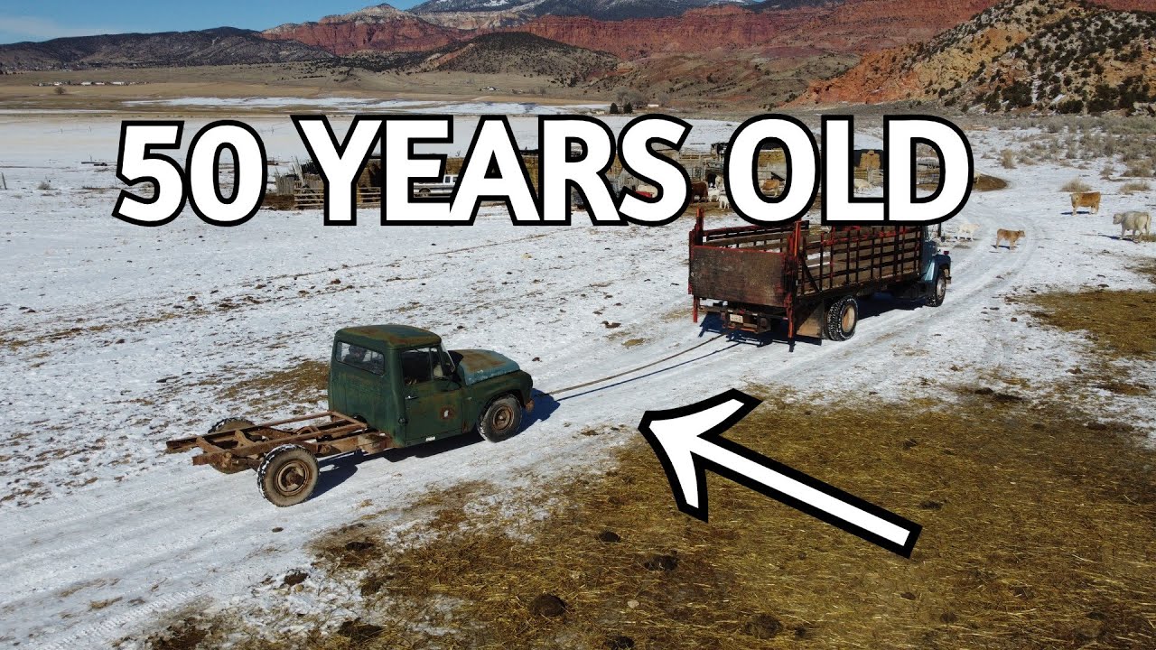 We Were AMAZED by this 60 Year Old Truck! International C Series