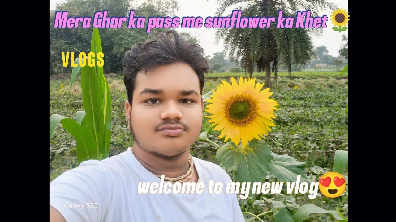 सूरजमुखी के बाद.. मैंने ये क्या देखा? 😭
