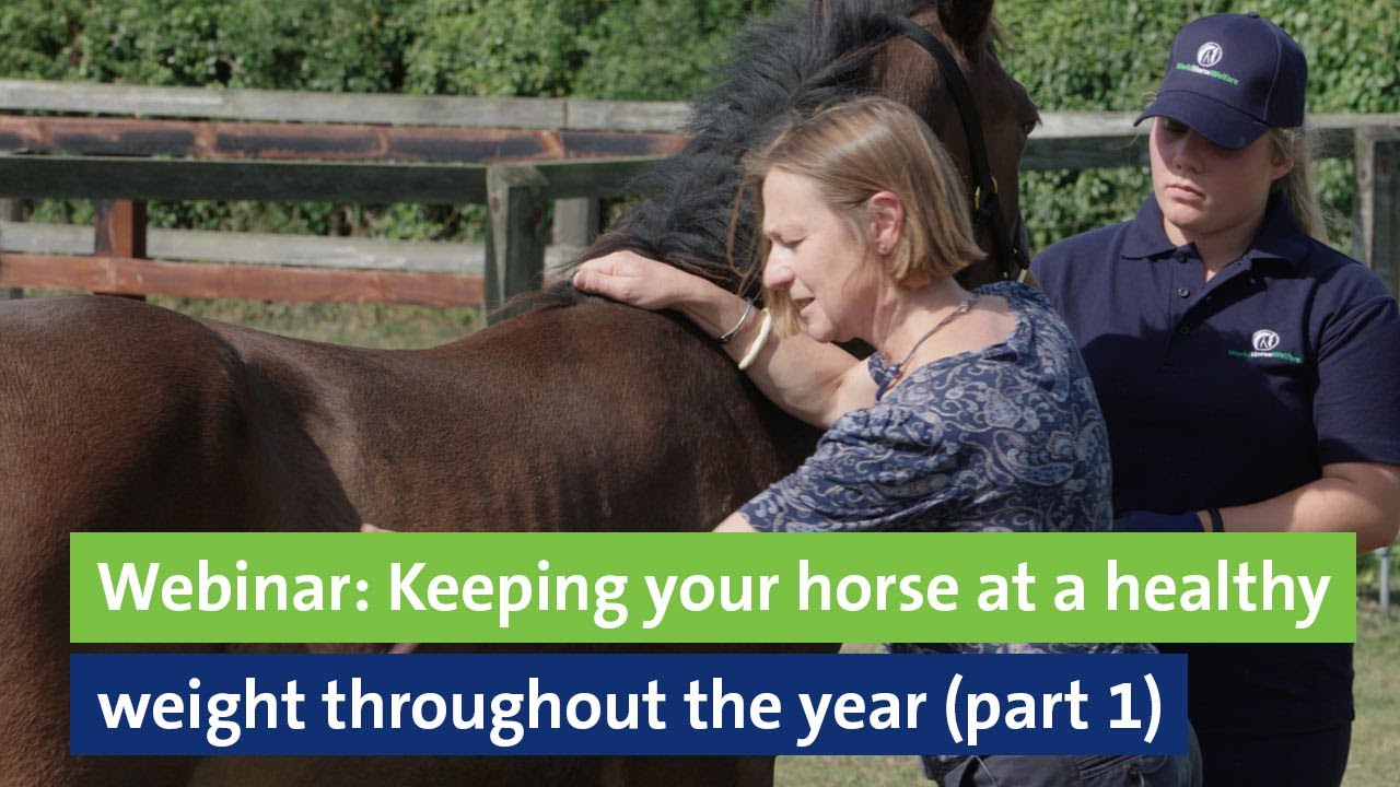 Webinar: Keeping your horse at a healthy weight throughout the year (Part 1)
