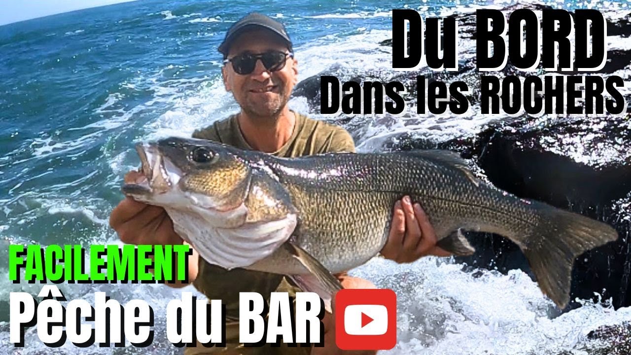 COMMENT PECHER du BAR MONSTRUEUX du BORD