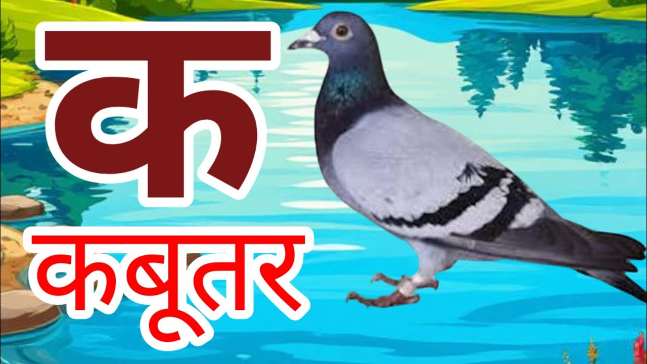 अ से अनार, आ से आम, हिंदी वर्णमाला, ka se kabutar, a se anar, aa se aam, हिंदीस्वरब्यंजन 