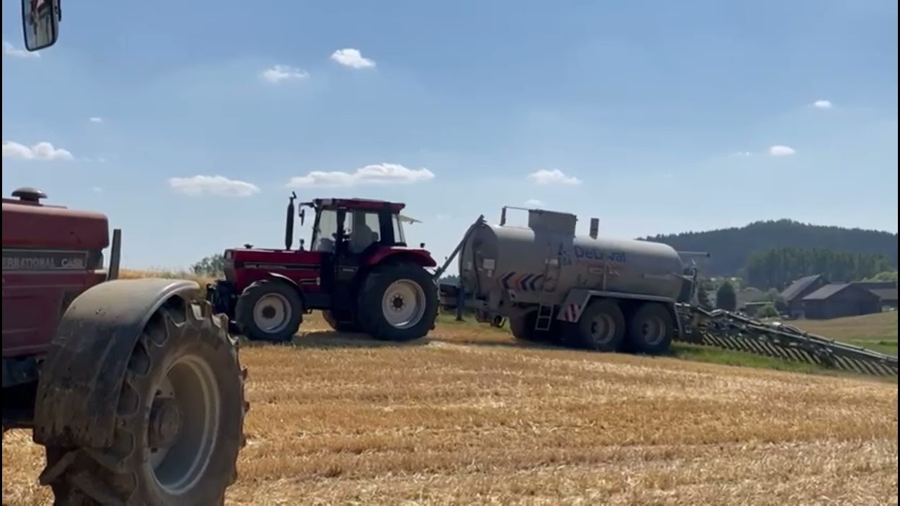 Grubbern und Gülle fahren mit IHC 1455xl und IHC 1255xl