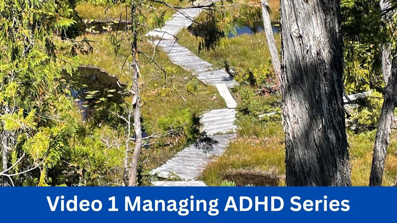Understanding ADHD and How Mindfulness Supports Focus