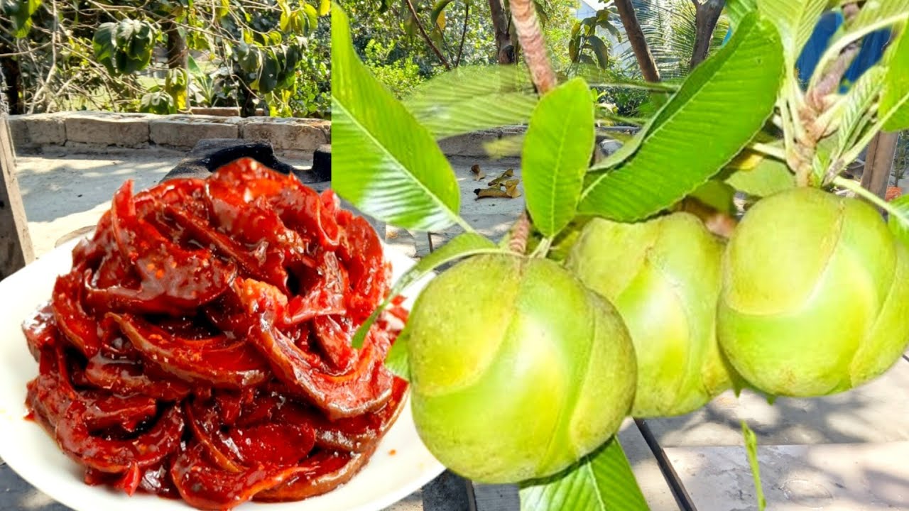 বাটাবাটির  ঝামেলা ছাড়াই খুব সহজে দোকানের মত চালতার আচার তৈরি করলাম।Chaltar Achar Recipe