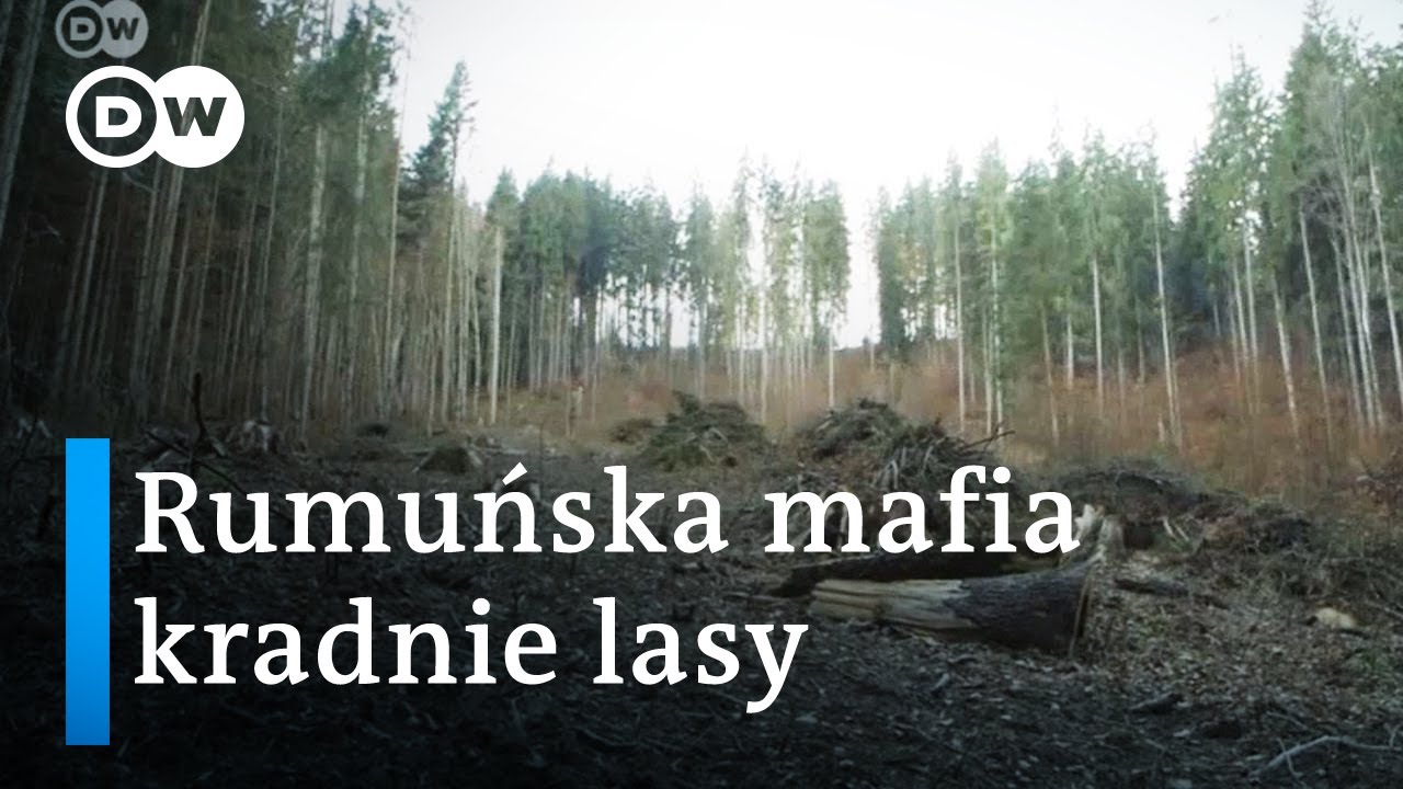 Korupcja, zastraszanie i  morderstwa czyli rumuńska mafia