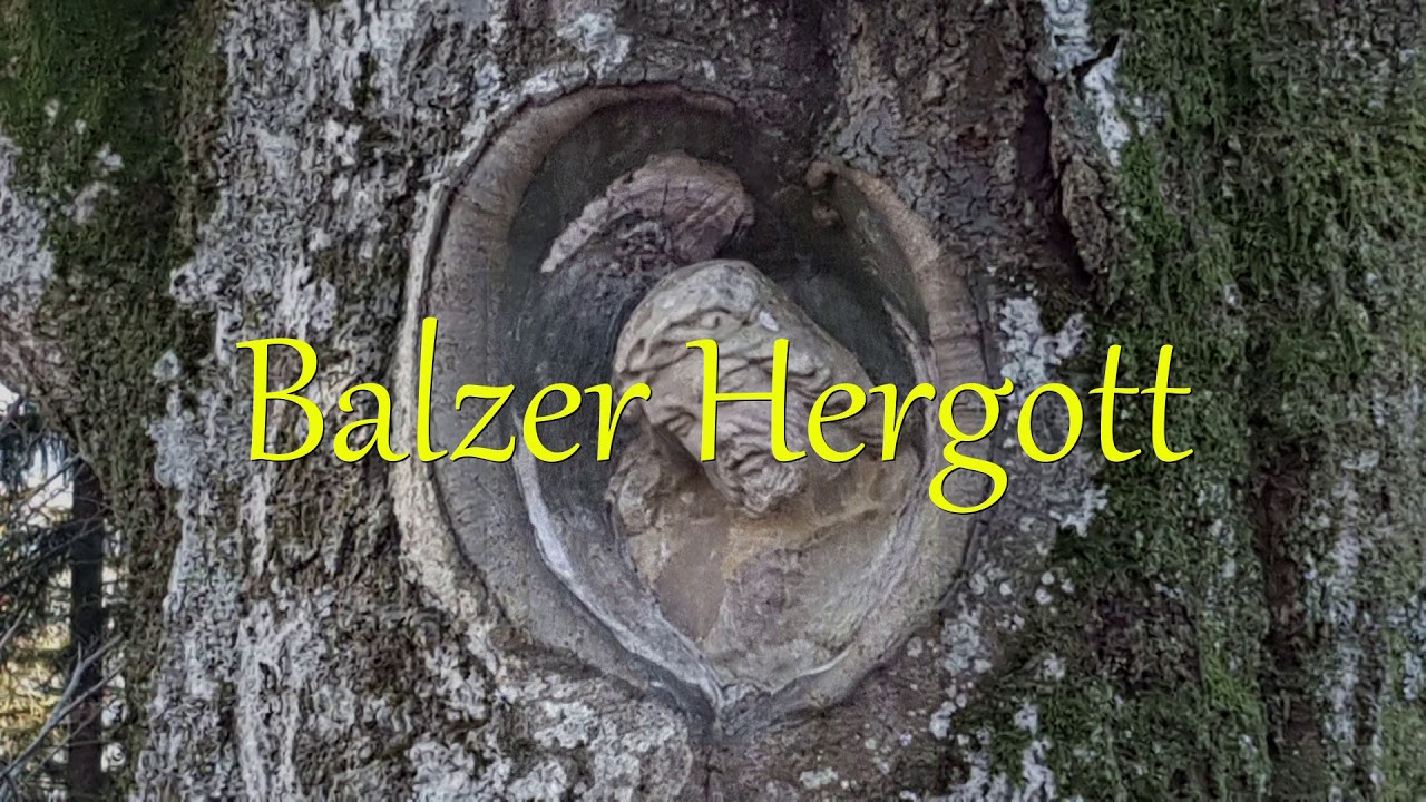Furtwangen, Schwarzwald, Balzer Herrgott, Brend, Bregtal, Natur, Wandern