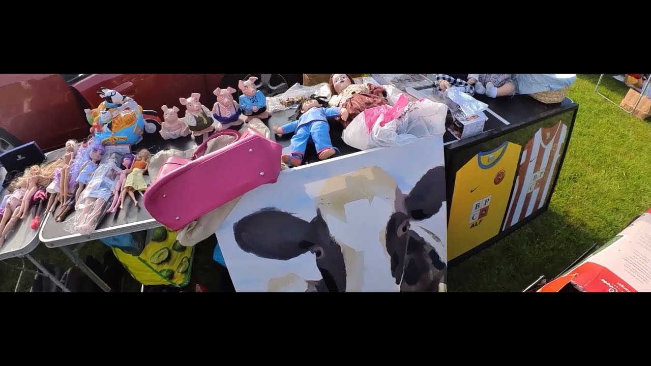 THE GOOD THE BAD & THE WASTE OF TIME SATURDAY CAR BOOT HUNTING PLUS I MAKE MASSIVE BLUNDER VLOG 253