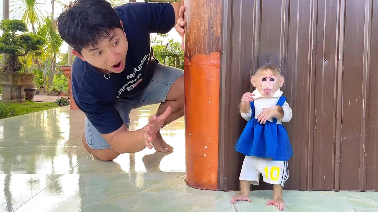 Baby Monkey SON Escapes From His Dad 😱🐒