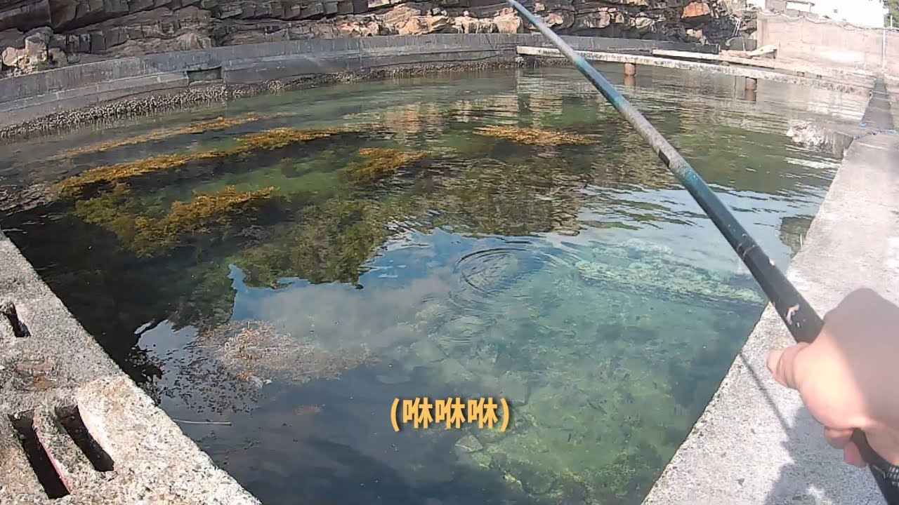 火炎山觀光坪｜回歸首釣分享｜Wild fishing in Taiwan. [嘟嘟釣魚狂#275] 2025/06/23