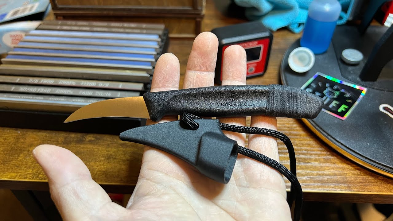 My budget Victorinox Fruit Knife Elvia. Great throwaway defensive knife?