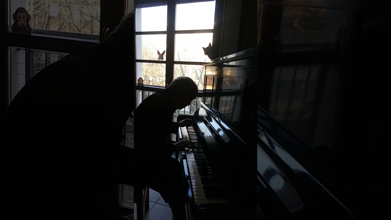 Intermezzo / Bechstein 