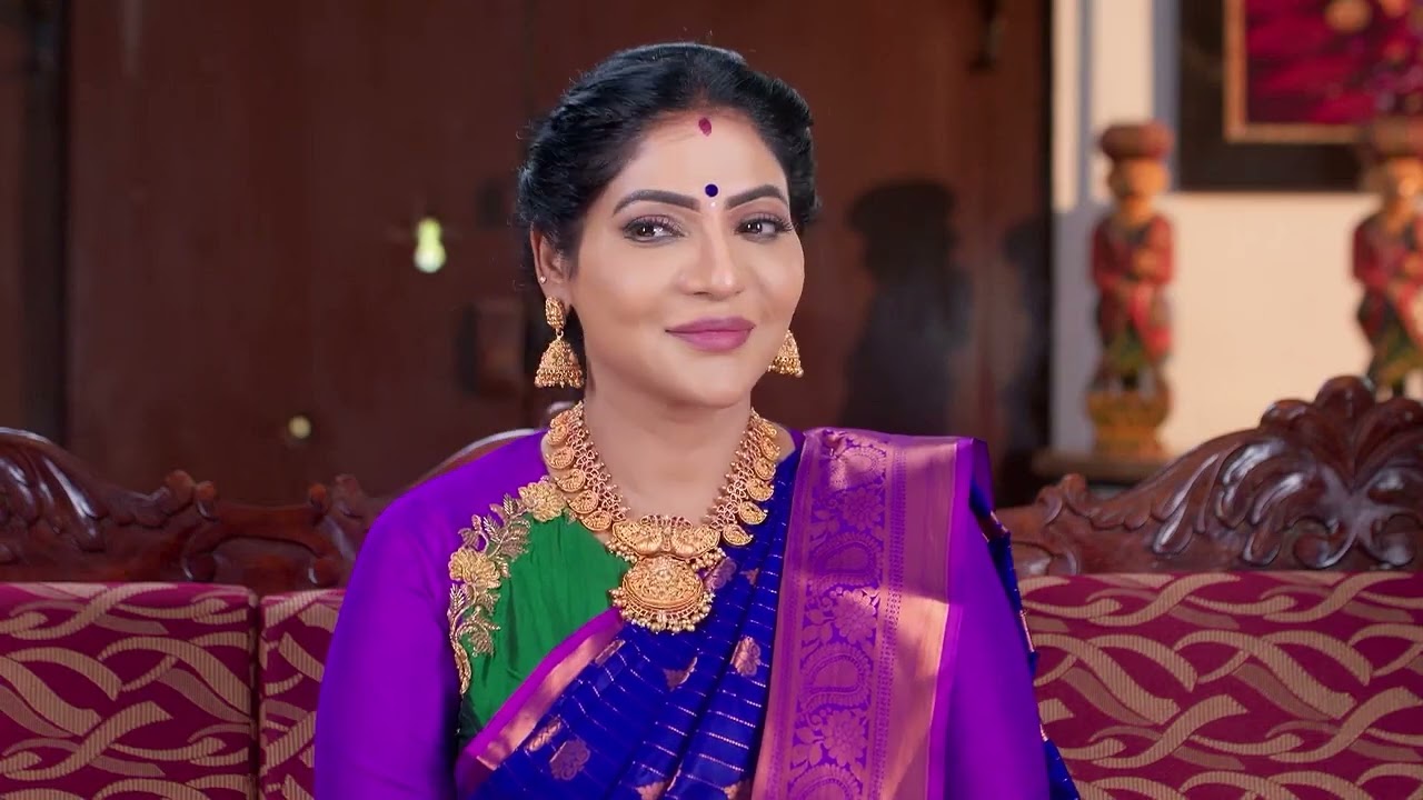 Karthigai Deepam - Full Ep - 689 - Karthikeyan, Deepa, Abirami - Zee Tamil