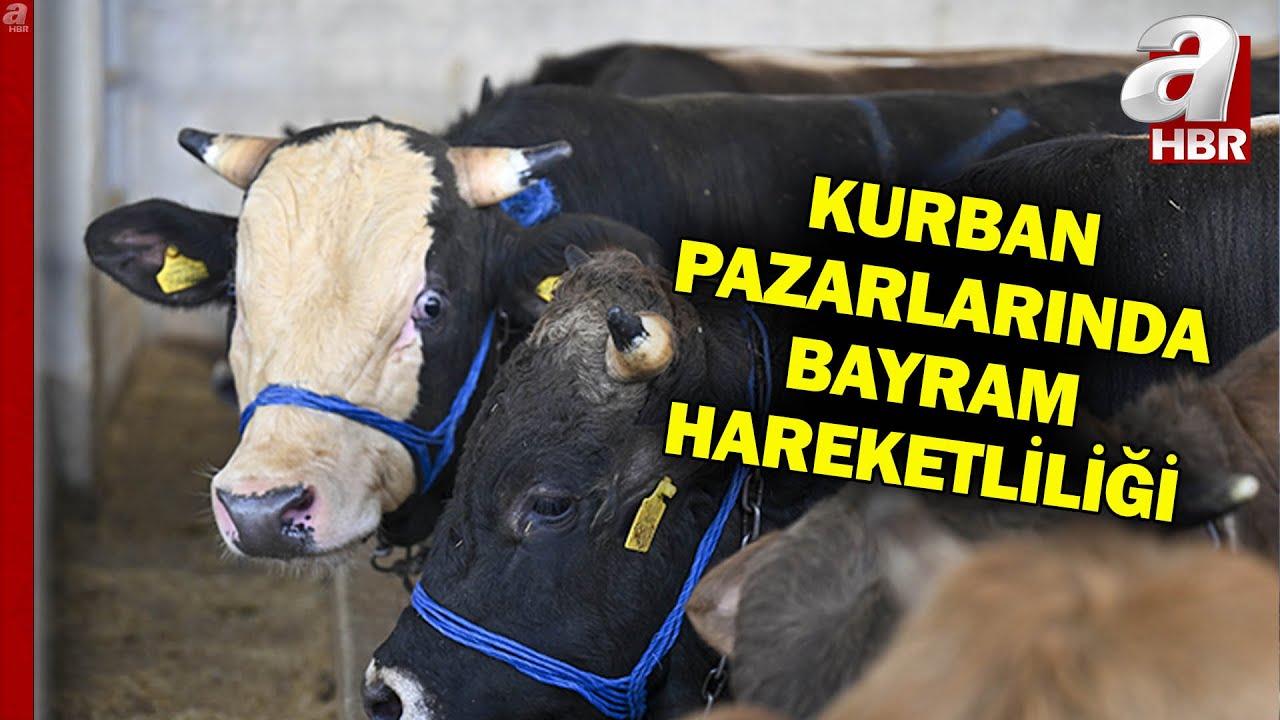 Kurban Pazarlarında Bayram Hareketliliği! İlk Günde Satışlar Devam Ediyor l A Haber