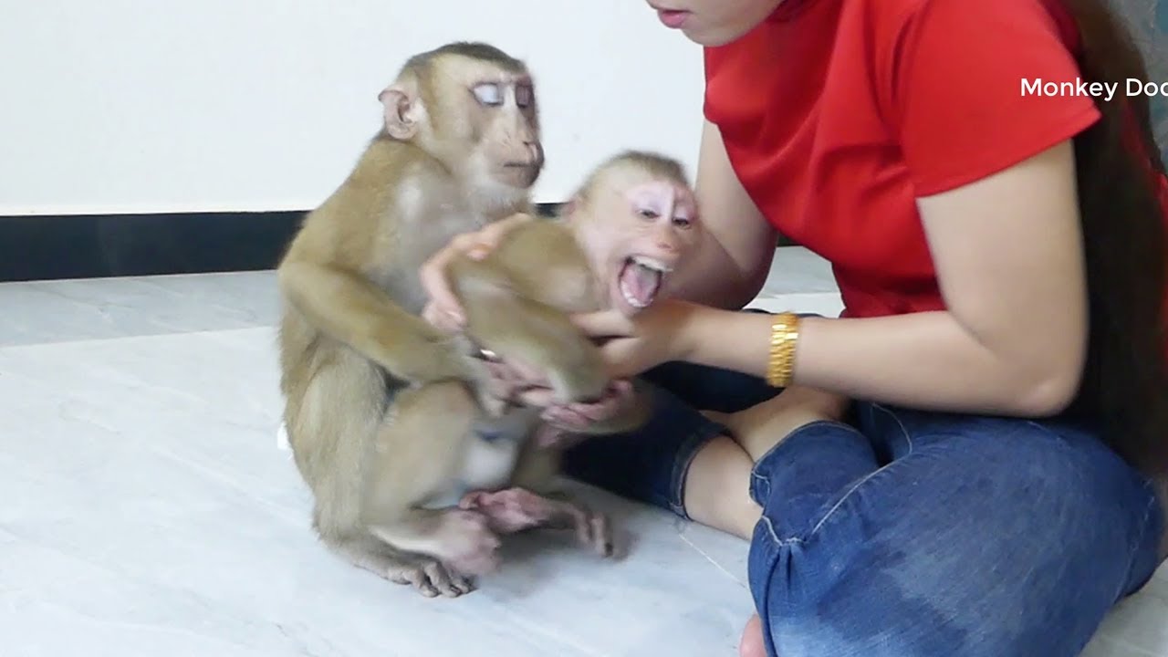 Molly Crry Not Want Allow Dodo Hug Him, Molly So Much Jealous