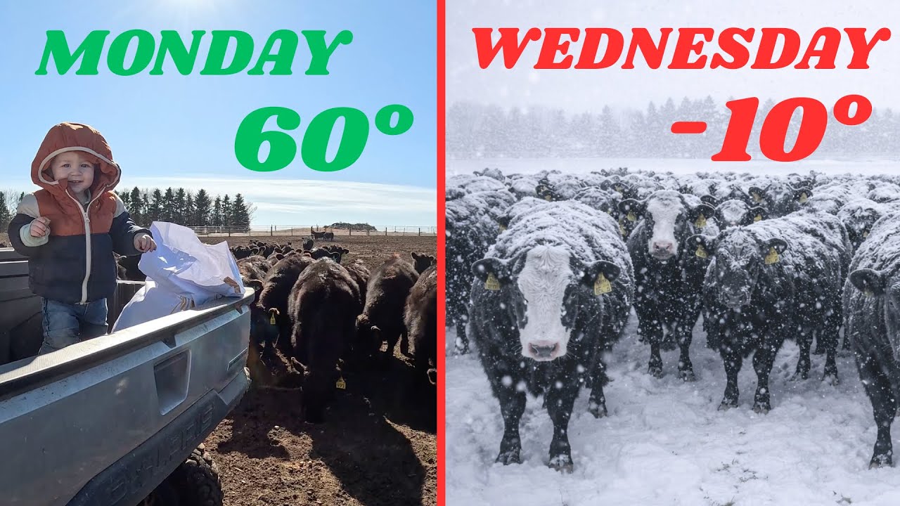 Extreme Weather Change On South Dakota Ranch!