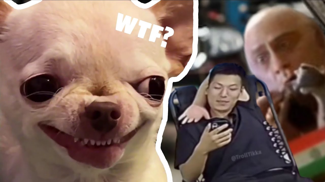 Funny Meme Video 😂 || Try Not To Laugh #trending #viral 
