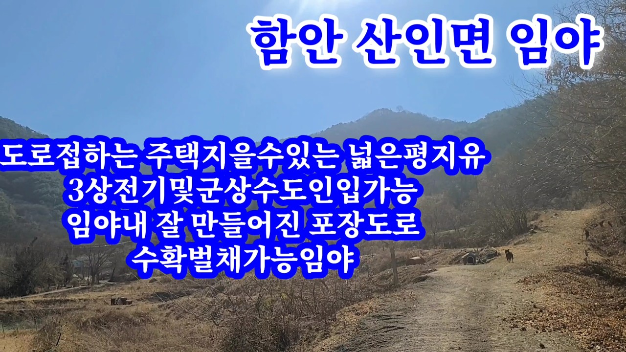 (전속중개물건)함안땅(임야)산인면소재 (23034㎡/6968평)+(49363㎡/14932평) 2필지 총21900평  집지을수있는 넓은 면적의평지와 3상전기,군상수도,오폐수직관로구비