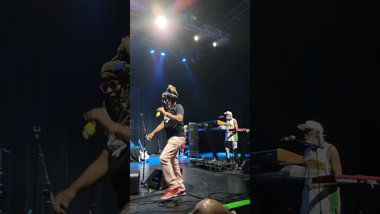 Steel Pulse David Hinds #davidhinds #steelpulse