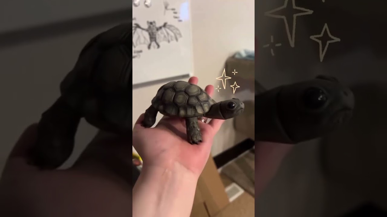 Tortoise sculpture! Video coming soon 💖 #animalart #cute #polymerclay #cuteanimals #tortoise