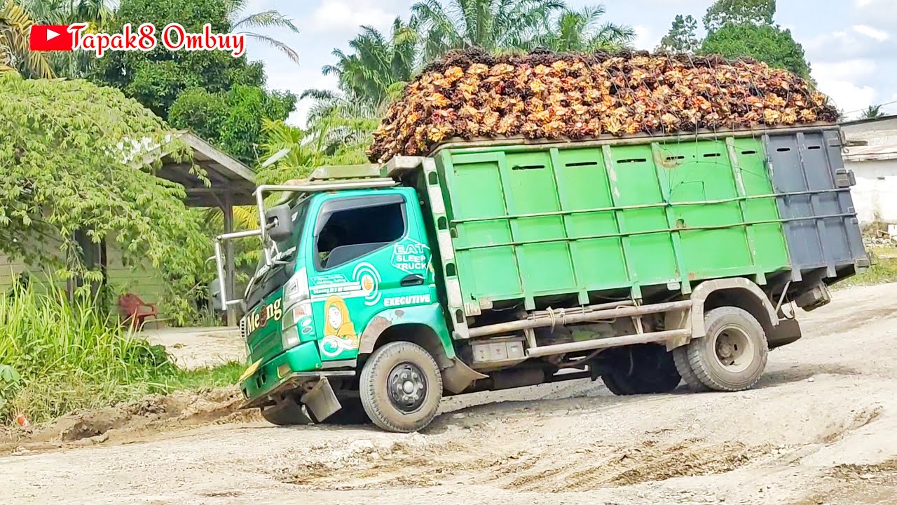Muatan Terlanjur Menggunung Driver Terpaksa Ambil Keputusan Nekat 
