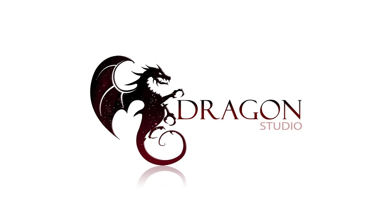 DRAGON STUDIO - Conception graphique  / Book 2017