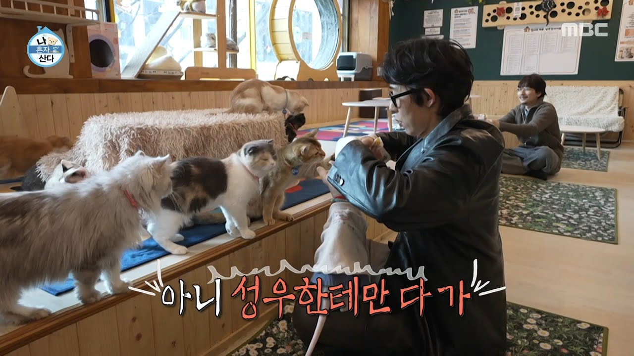 [나 혼자 산다] 고양이들에게 인기 폭발하는 코드 쿤스트💘 고양이들 설득하는 이동휘, MBC 260227 방송