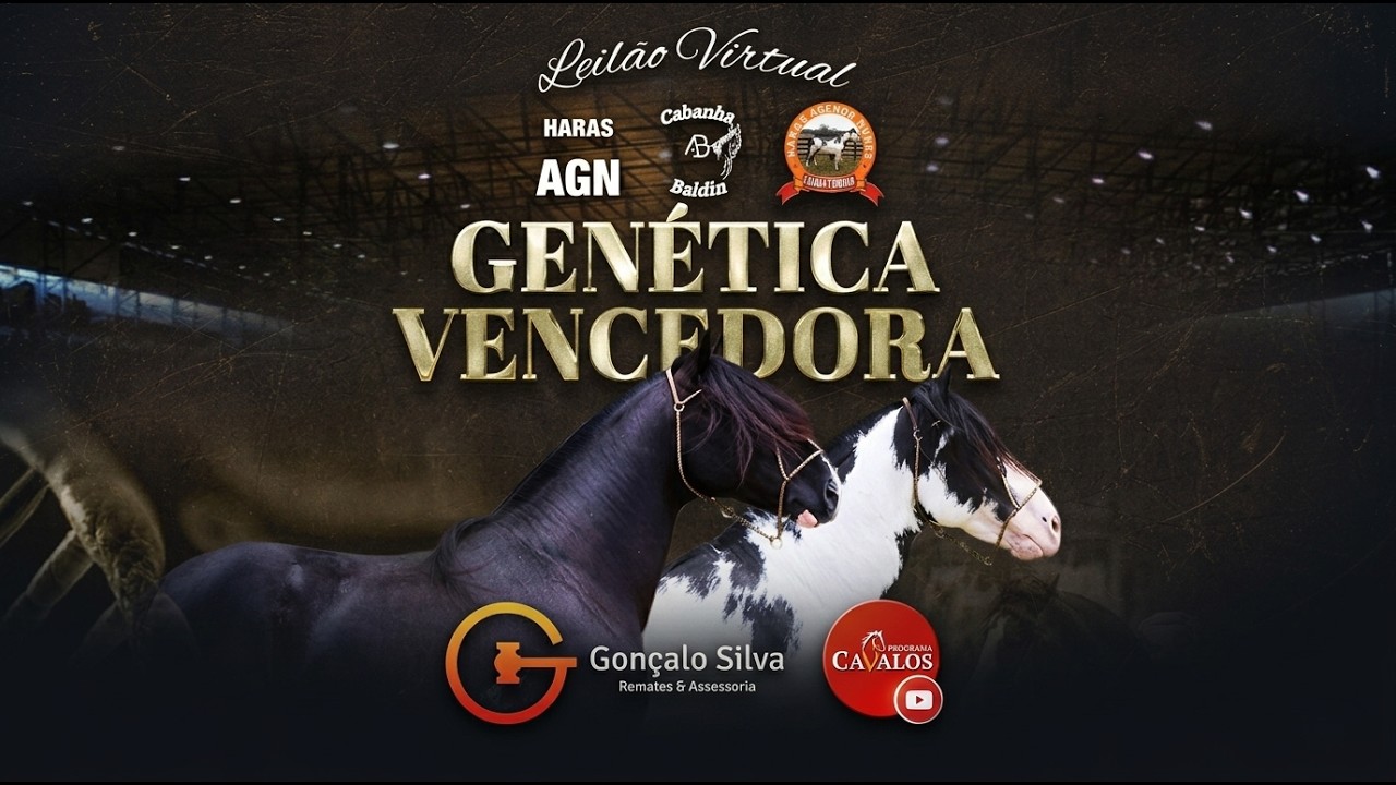 LEILÃO VIRTUAL GENÉTICA VENCEDORA AO VIVO PROGRAMA CAVALOS TRANSMISSÃO DE REMATE CAVALO CRIOULO
