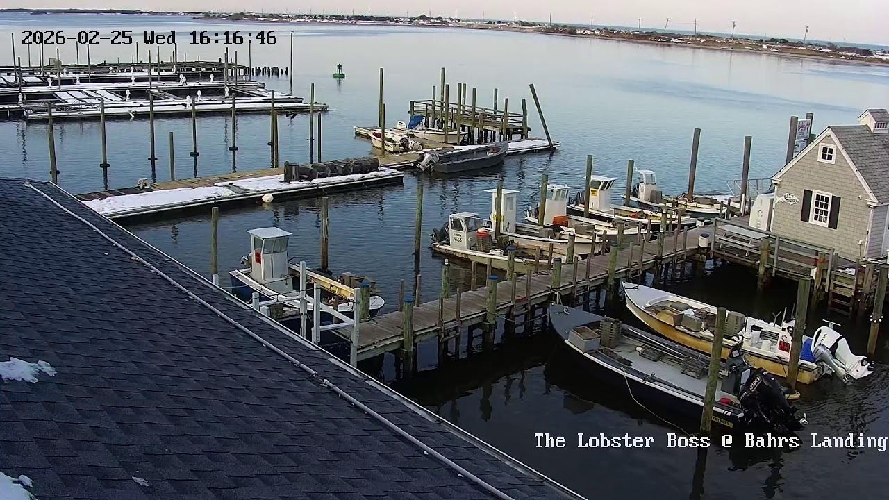 Bahrs Landing Marina Webcam