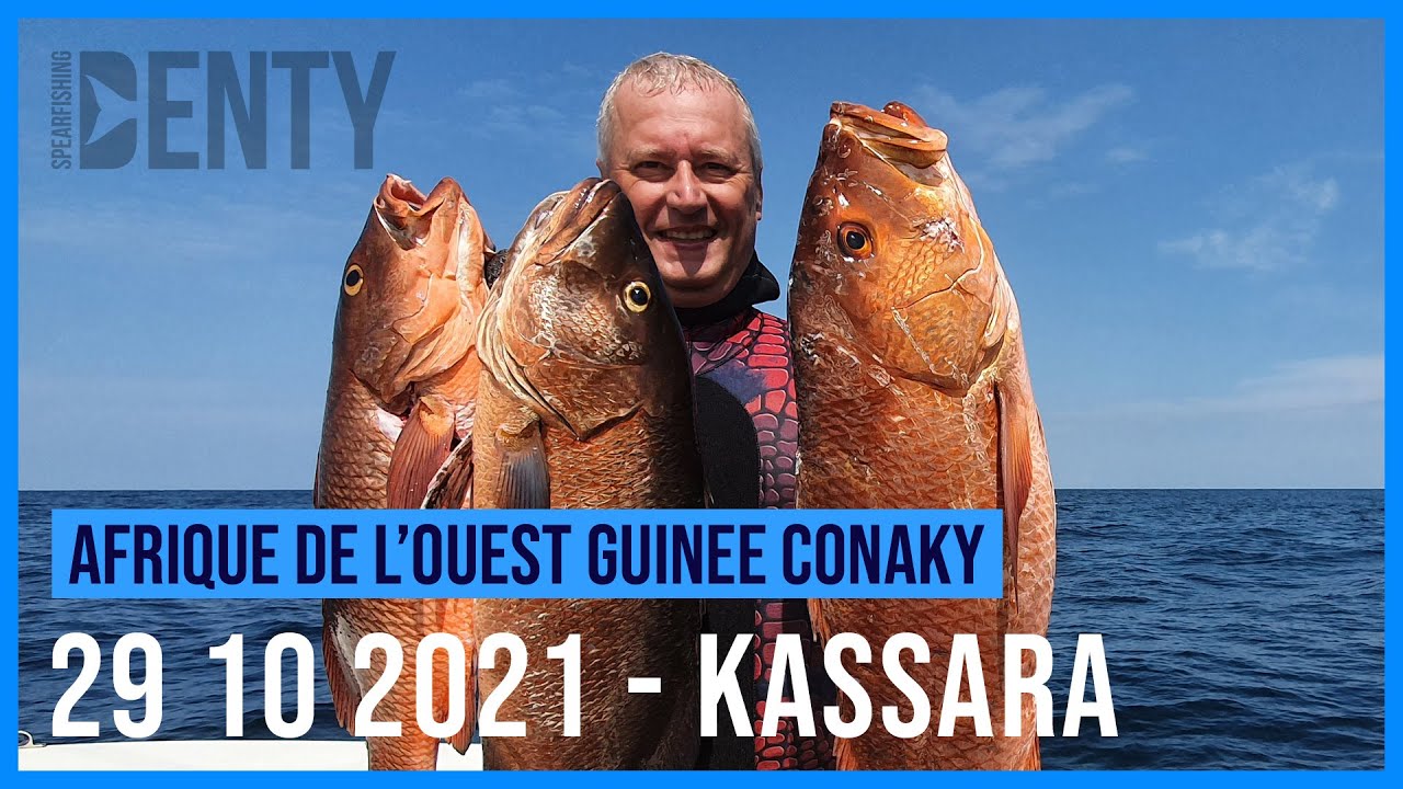 Chasse sous-marine aux carpes rouges sur l'&eacute;pave de Kasara en Sierra Leone 2021.