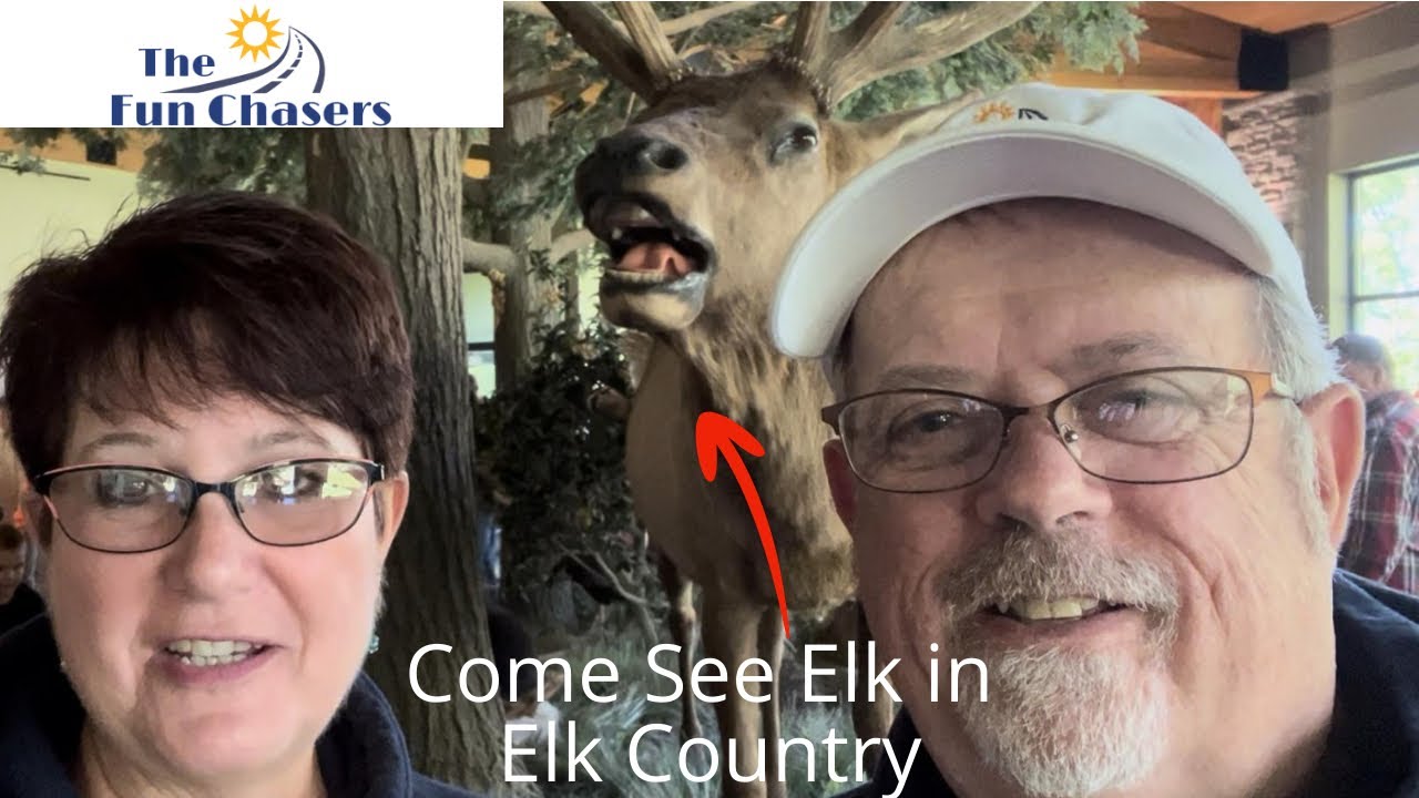 See Live Elk at Benezette, PA #elk #rv #travel