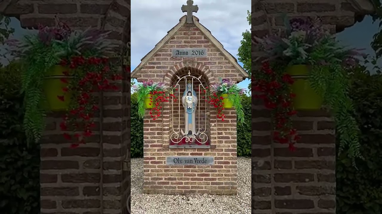 🛐🕊️🙏🏻#katholiek #peace #vrede #мир