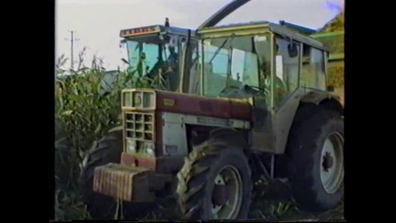 Loonw Devos - Tielt - Claas Jaguar - Claas Jaguar 695 SL - International 946 - International 1256 XL