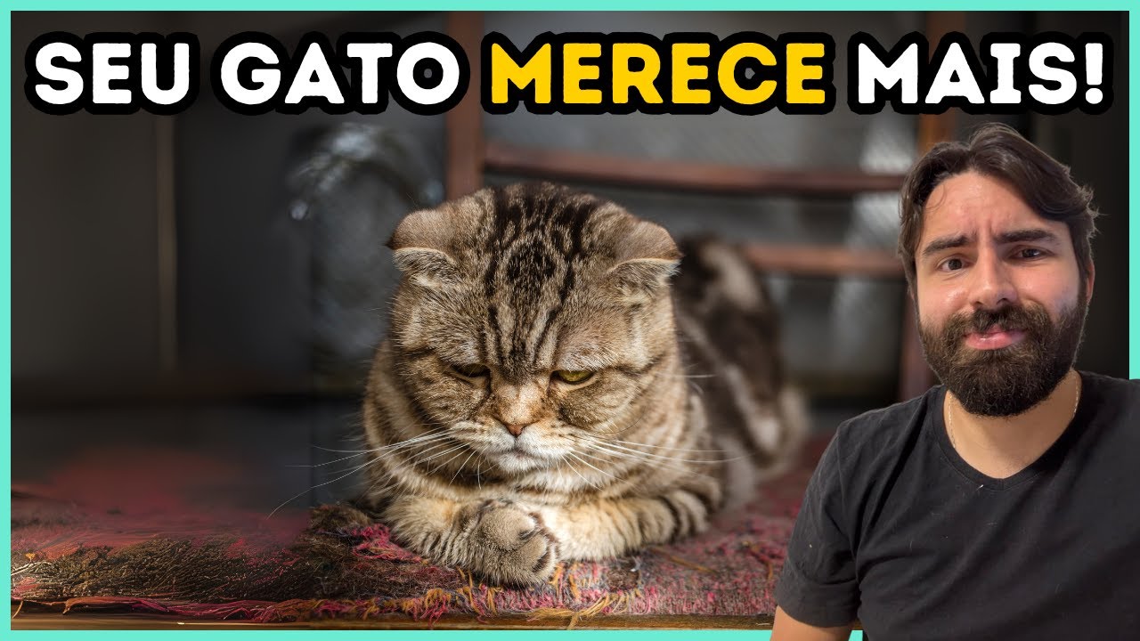 Você DESTRÓI A SAÚDE MENTAL Do Seu Gato Quando Faz ISSO!