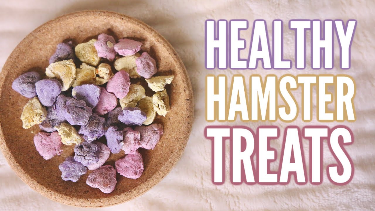 DIY Healthy Hamster Treats!