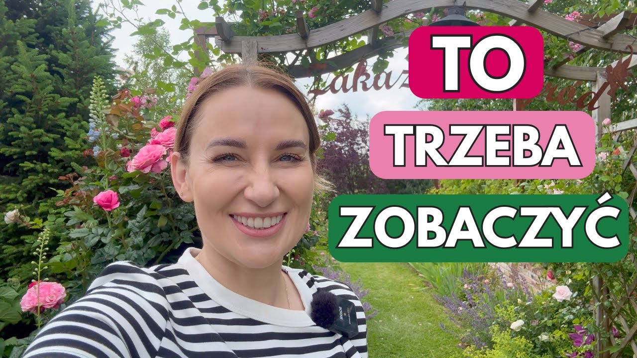 CZERWCOWE RÓŻE - BYLINY I RAJSKIE ZAKĄTKI ZAKAZANEGO OGRODU