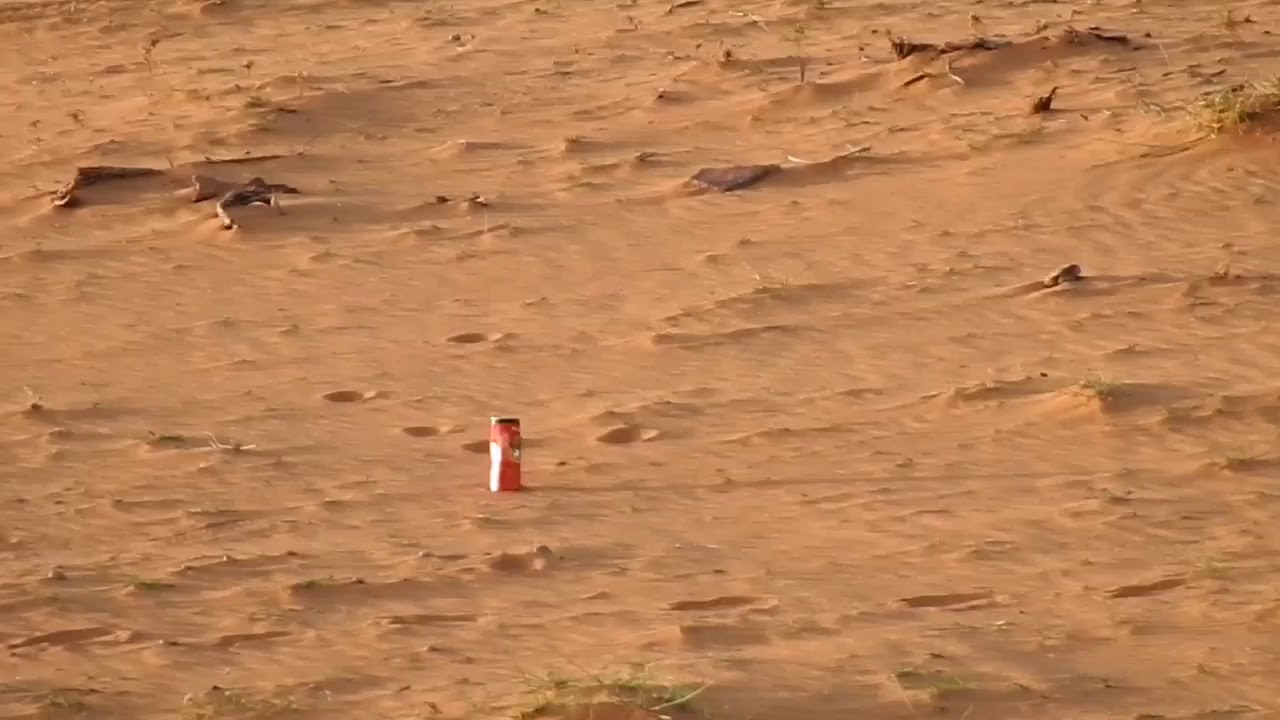 رماية ارقوس 200 متر Kalibrgun Argus 200m blinking