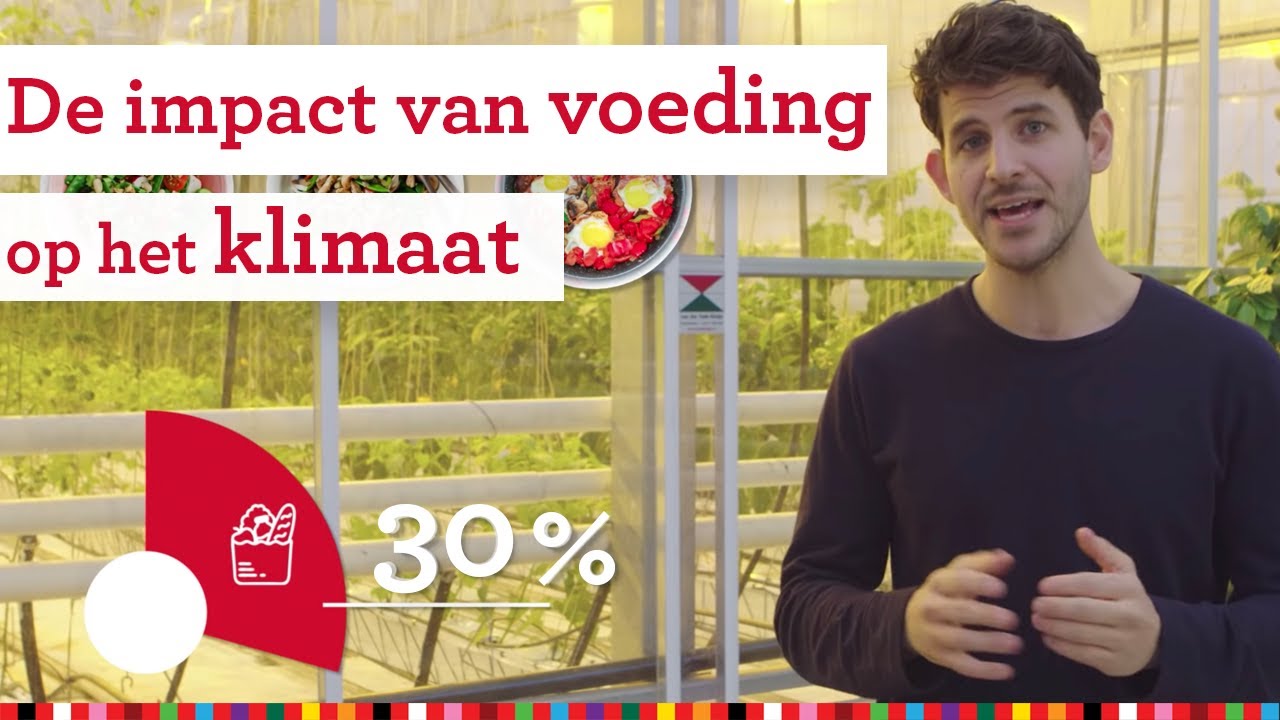 Waarom voedsel meer impact heeft op het klimaat dan vervoer | Voedingscentrum