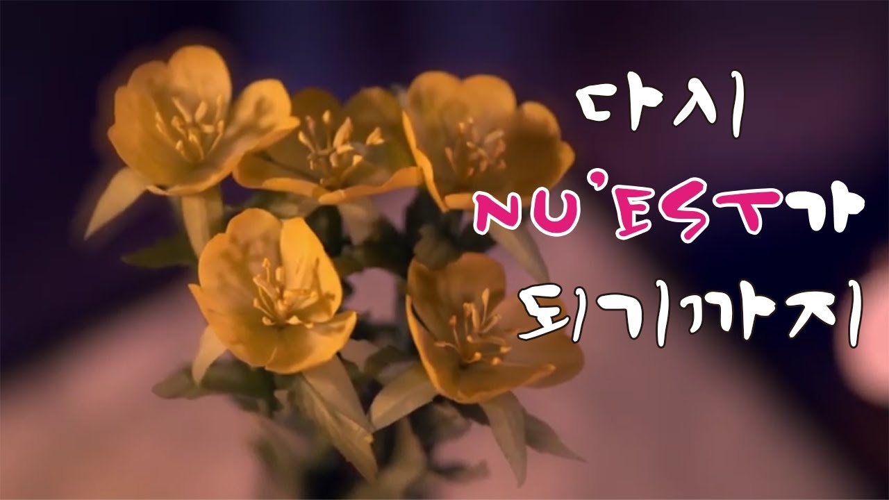 NU'EST IS BACK : 프로듀스 101 시즌2를 거쳐 다시 NU'EST가 되기까지 [빛의그늘의 사심편집]