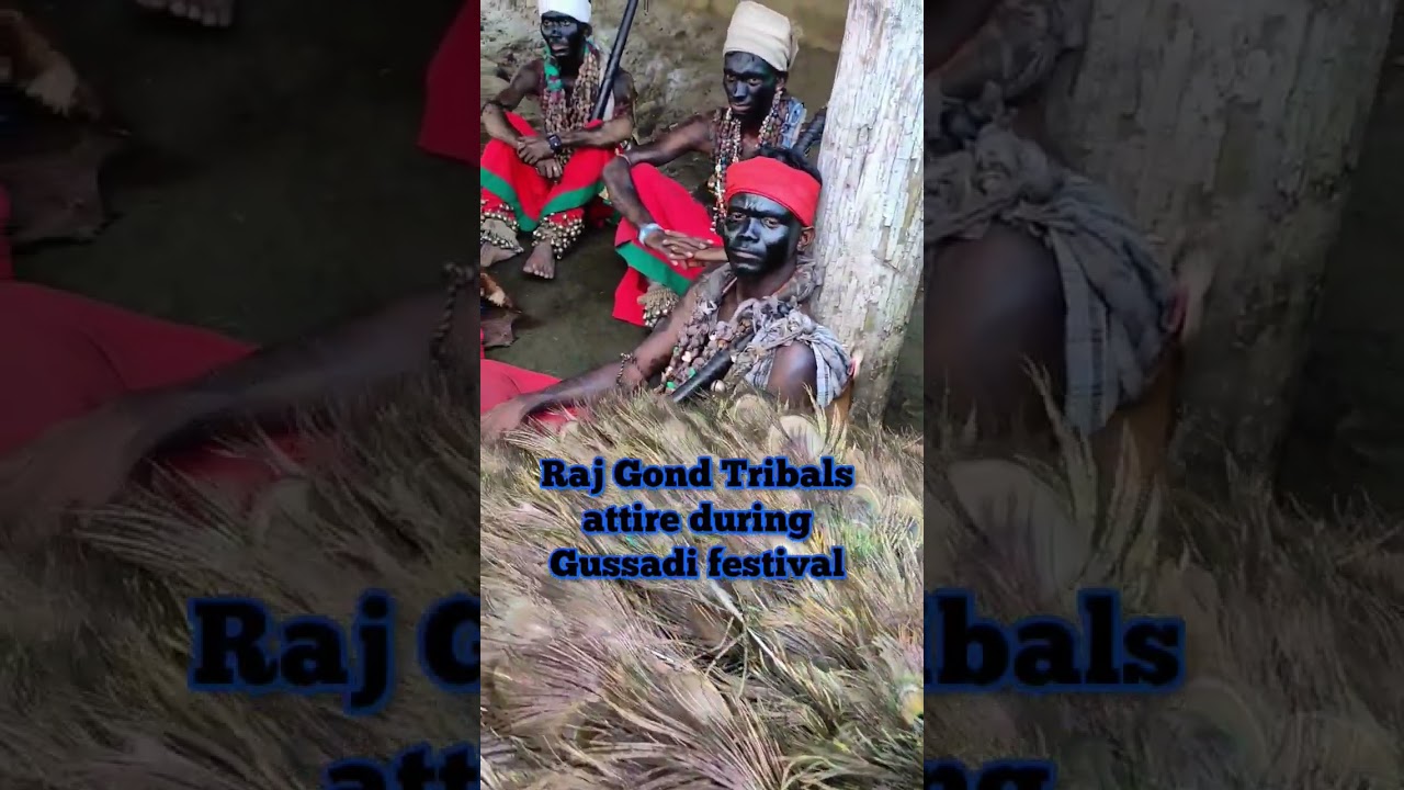 Raj Gond Tribals attire during Gussadi festival.