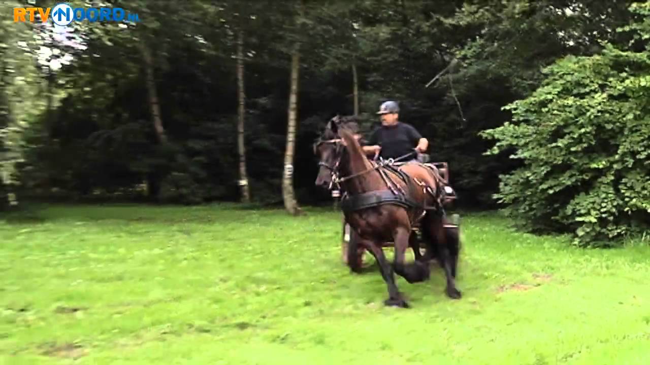 Paardenmarathon niet voor watjes