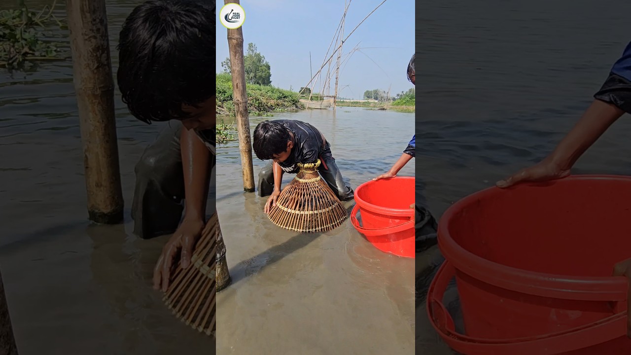 Unbelievable Polo Fishing In Beel Water (Part-17) #shorts #polo_fishing #ytshorts #shortsfeed