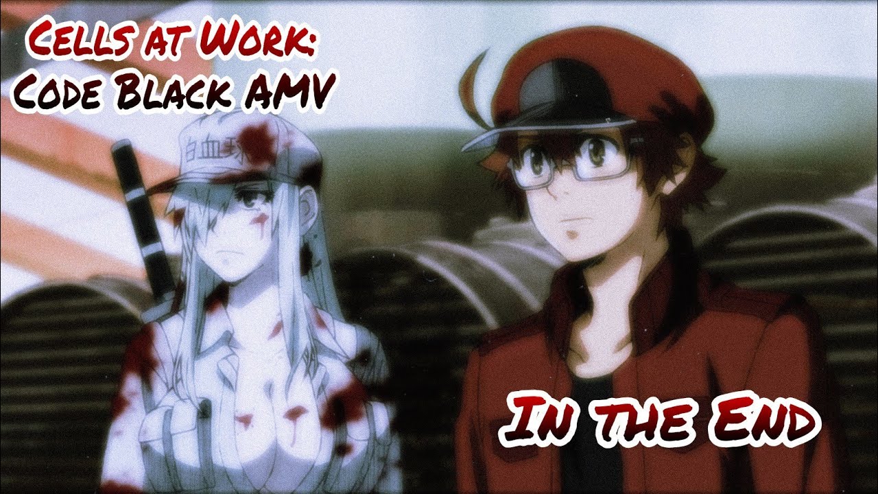 In the End - Cells at Work: Code Black AMV